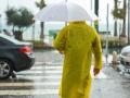 暴雨连连，杭州市疾控专家带来这些健康提醒