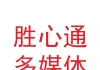 甘肃胜心通多媒体网络通信科技有限公司