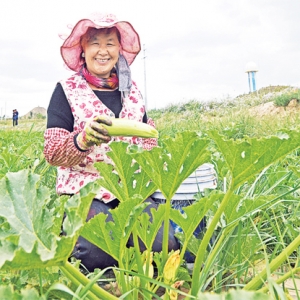 巩固脱贫攻坚成果 书写乡村振兴新篇 ——兰州新区高质量完成脱贫攻坚各项目标任务 ... ...