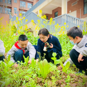 拔草、松土、除虫…… 两江新区行远小学别样开学