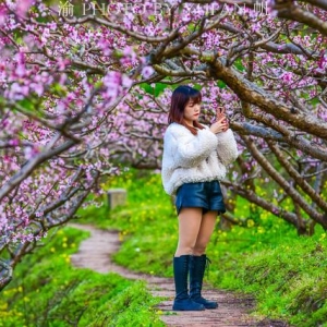 潼南赏花地图：天台山不仅有清代古寨，还有片美丽而免费的桃花山 ... ... ...