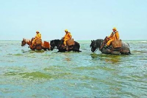 欧洲北海沿岸骑马捕虾