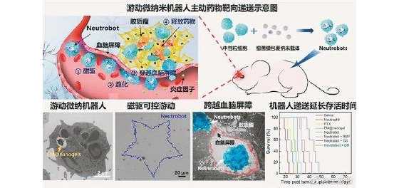 高科技 机器人给脑部送药