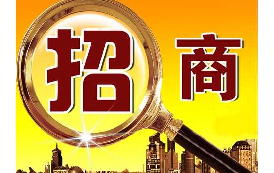 李東新主持召開新區(qū)2021年第十二次管委會會議 安排部署招商引資、土地管理等重點(diǎn)工作  ...