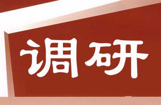 水利部副部长魏山忠一行到新区考察调研