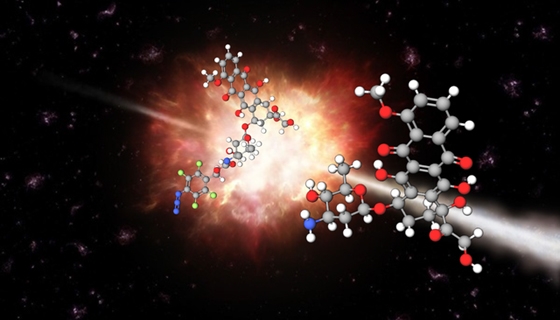 深圳科学家提出肿瘤精准治疗新思路