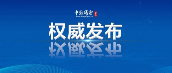 张国华调研新区道路体系建设情况