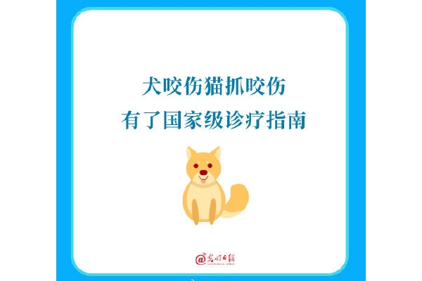 犬咬伤猫抓咬伤有了国家级诊疗指南