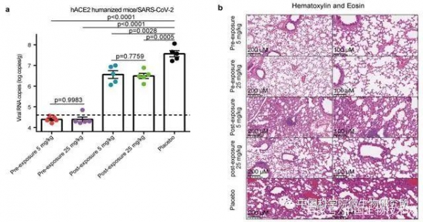 新冠病毒“克星”来了？中科院微生物研究所公布重大突破！ ...