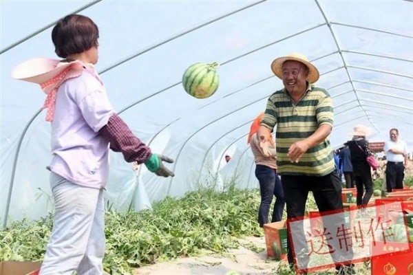 筑牢兜底保障线 产业托举新生活 新区多措并举助力乡村振兴