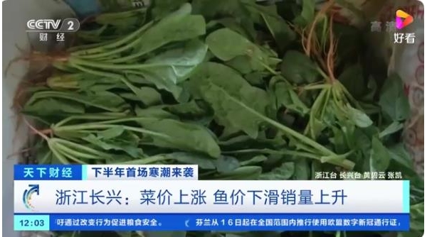 “菜比肉贵”？蔬菜价格连连攀升，有的甚至翻番！原因几何→ ...