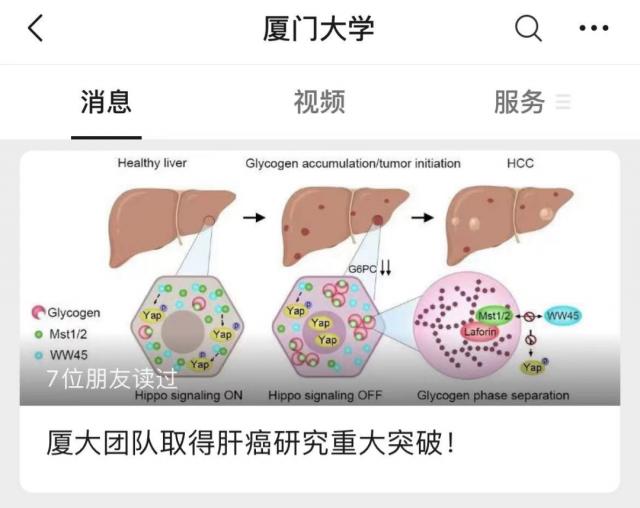 高校取得肝癌研究重大突破！但有个让人痛心的消息……