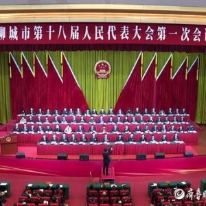 支持东昌府区打造首善之区，推动高铁新区建设全面起势