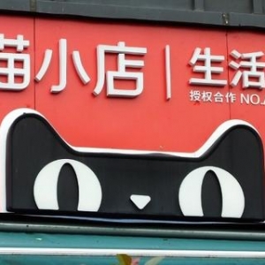 遭遇社区团购冲击、平台支持力度低，曾经的互联网小店退潮了？ ...