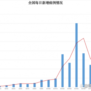 本轮疫情何时结束？两周后的清明节，人群能否自由流动？专家分析 ...