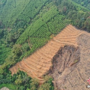 连夜地毯式搜查黑匣子！（最新消息汇总）