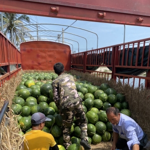 男子开绿通货车高速出入口称重相差4吨，两地各执一词