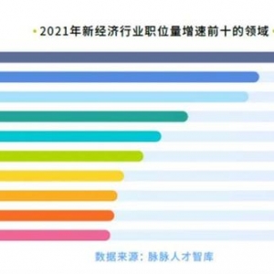 年收300万份简历 跟比亚迪一比就知道特斯拉为何被求职者偏爱 ...