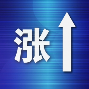 金普新区今年前4个月新增市场主体 “破万”