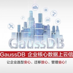 「2022数博·探秘成果里的“黑科技”」华为云GaussDB数据库：持续打造数据库根技术 助 ...