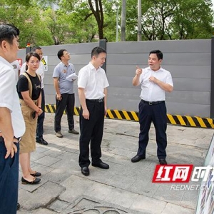 湖南湘江新区：精准施策 重拳出击 守牢发展底线