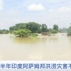 印度阿萨姆邦洪水已致131人死亡！灾区缺饮用水、缺食物，暴发疾病…… ...