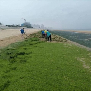 守护最美海岸线，烟台黄渤海新区全面开展“夏季清浒”治理行动 ...