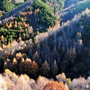 最新公示！张家口一地拟确定为国家4A级旅游景区