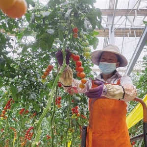 心安之處 即是家園蘭州新區(qū)舟曲移民群眾開啟幸福新生活