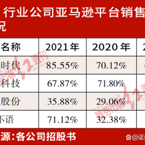 跨境电商赛道火热掀IPO浪潮，布局独立站、海外仓企业或更具优势 ...