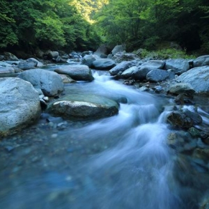 网红打卡地成“夺命景区”，小红书、抖音等平台要担责吗？ ...