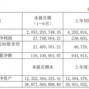 房产半年报现场｜大名城管理层：在不确定性环境中具备抗风险能力，全力推进项目建设及 ...