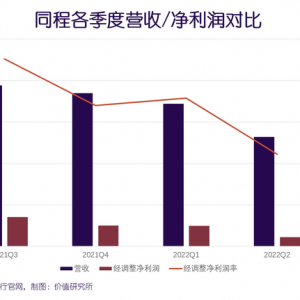 营收、利润齐跌，同程抓紧下沉市场这根救命稻草