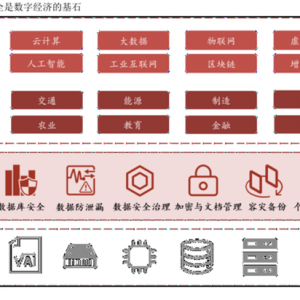 在信息技术“白银行业”中寻找提升国力的“黄金机会”