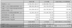 兔宝宝2022年上半年净利下滑15.01% 曾因产品不合格登上“十大质量黑榜” ...