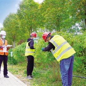 兰州新区首届绿化工人技能大赛落幕