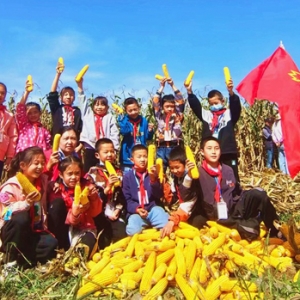 甘肃华亭：把课堂搬到田间地头