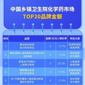 中国乡镇卫生院化学药市场TOP 20出炉，抗感染药175亿元位居第一 ...