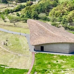 探源江南文化首选地，首届草鞋山文化节丰收嘉年华启动