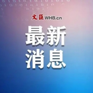 浦东新区加强上海迪士尼度假区应急处置保障