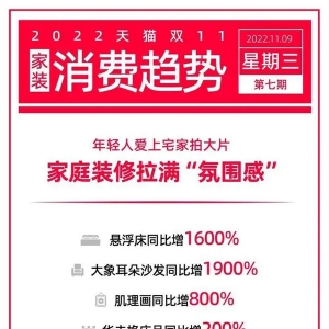 双11消费趋势上新：年轻人宅家拍大片，家庭装修拉满“氛围感” ...