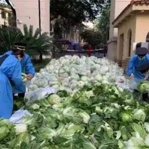 助力两江新区抗疫，万州恒合乡万斤蔬菜相赠