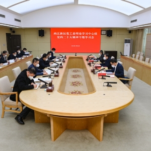 两江新区召开党工委理论学习中心组（扩大）学习研讨会