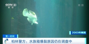 世界最大独立圆柱水族箱爆裂！德媒：或由于“材料疲劳”导致 ...