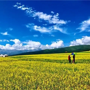 乡村旅游：旅游产业的“半壁江山”