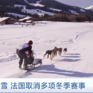 暖冬少雪，法国取消多项冬季赛事，多座滑雪场歇业