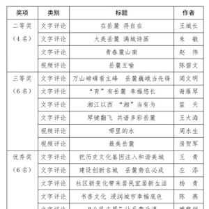 速速围观！“点赞新区”网络评论大赛获奖结果出炉啦