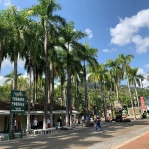 春节旅游带火各地实体小店，平价旅行用品外卖订单增长106%