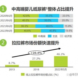 42页报告读懂｜中国母婴及纸尿裤产业发展洞察