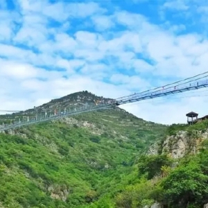 宝藏亲子乐园！济南周边的森林溜娃新地标，太适合带娃春游了！ ...